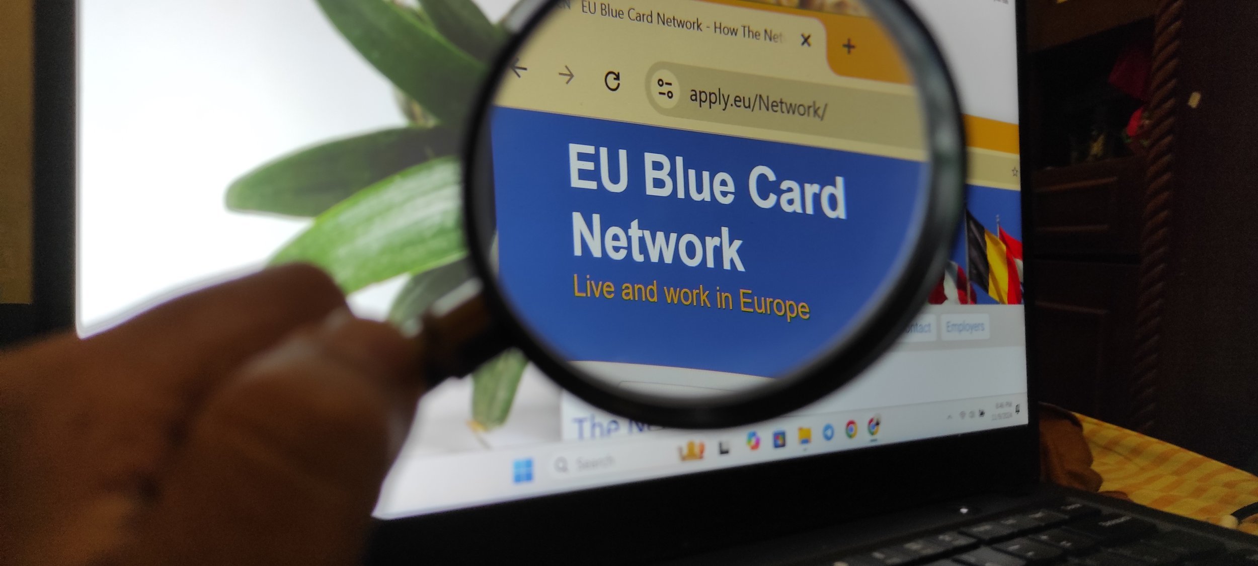 EUBlueCardNetwork