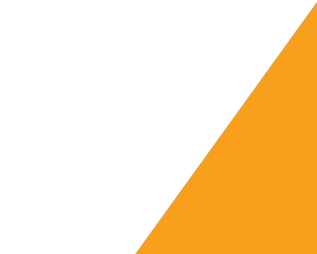 vector image